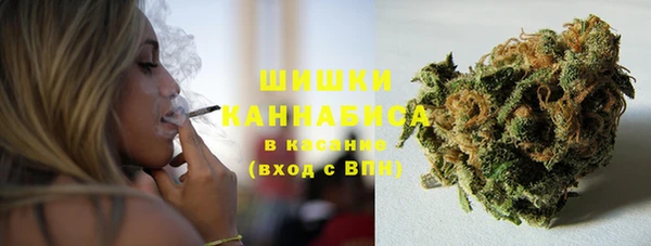 мет Пересвет